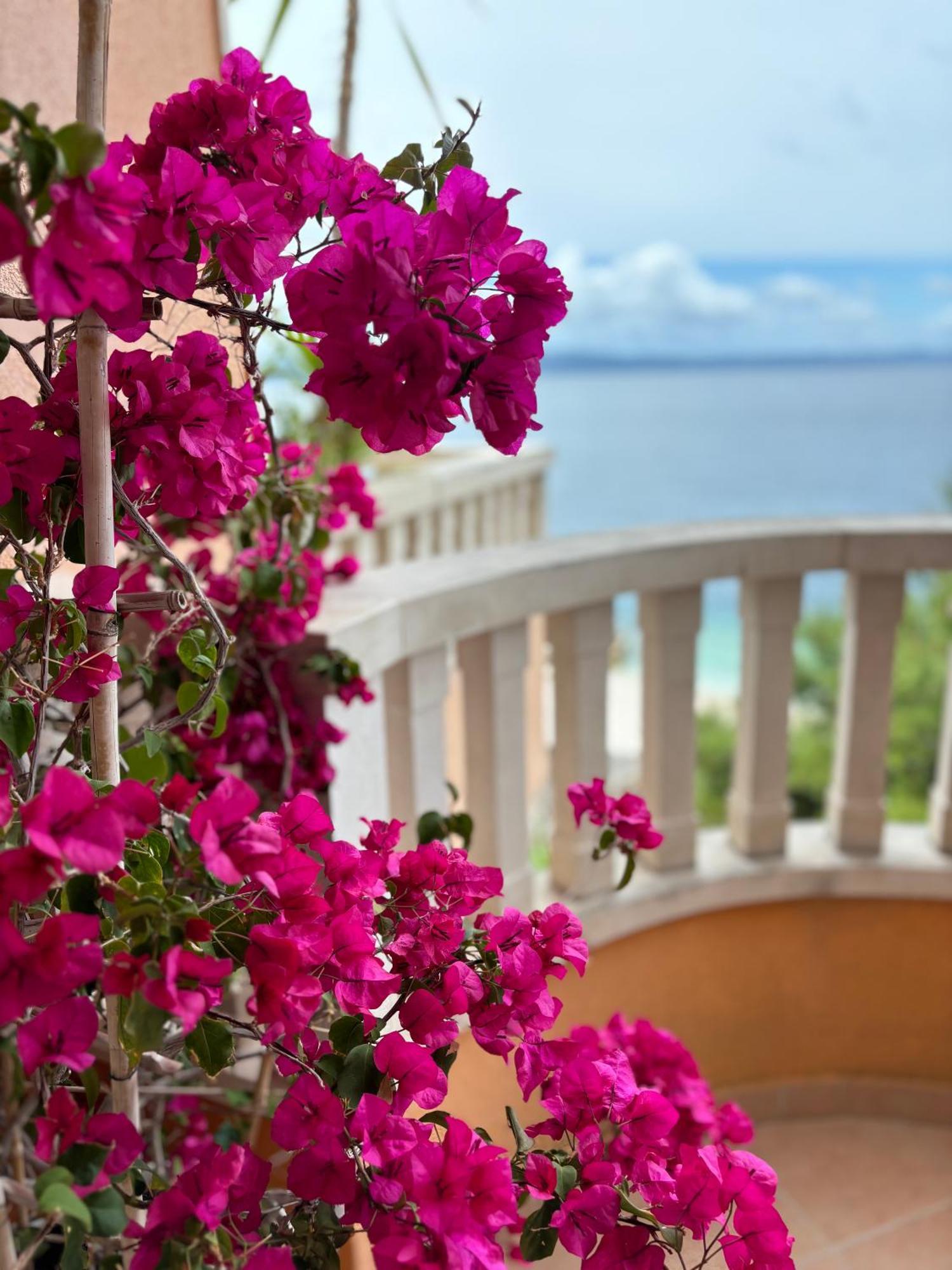 Villa Spomenka Podgora Εξωτερικό φωτογραφία