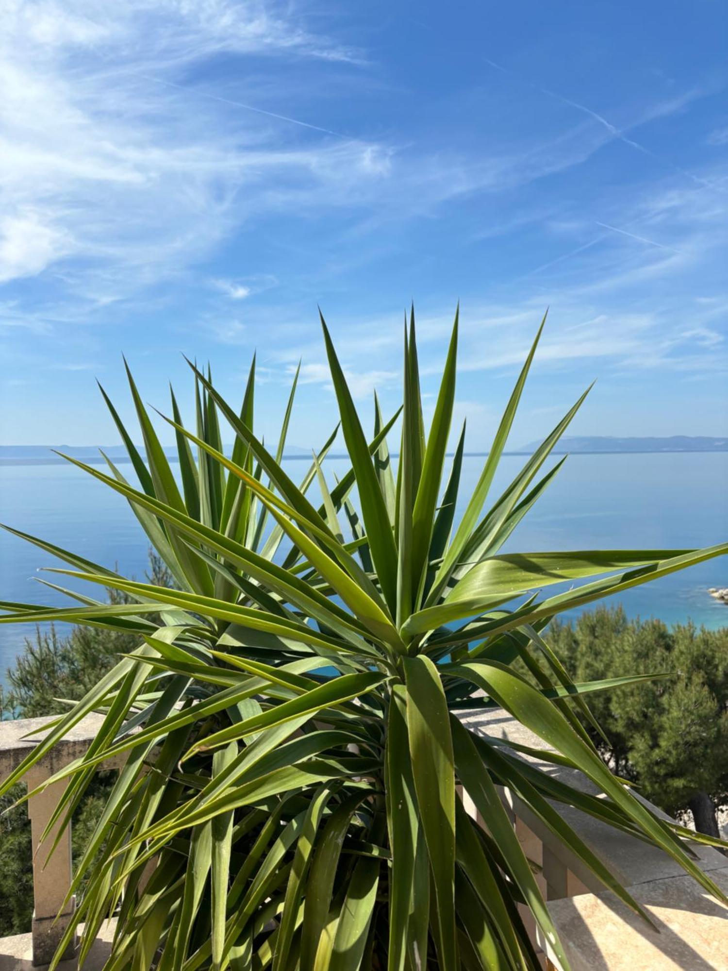 Villa Spomenka Podgora Εξωτερικό φωτογραφία